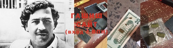 дмт Богданович