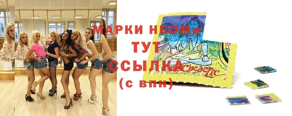 дмт Богданович