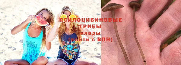 гашишное масло Богородицк
