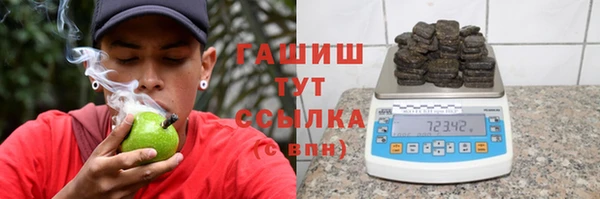 дмт Богданович
