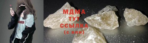 дмт Богданович