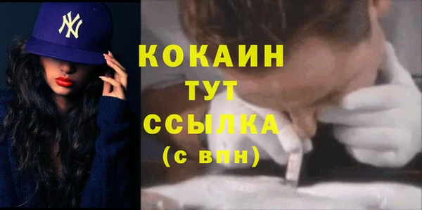МДПВ Богородск