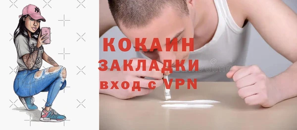дмт Богданович
