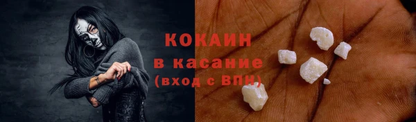 дмт Богданович