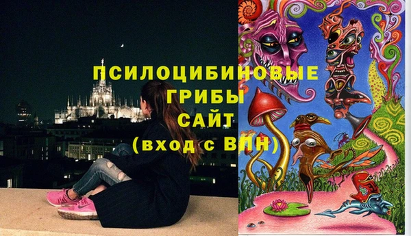 МДПВ Богородск