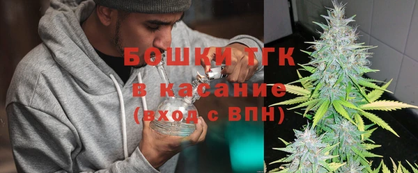 МДПВ Богородск