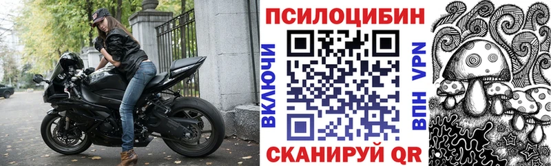 Галлюциногенные грибы прущие грибы  Шилка 